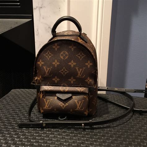 louis vuitton palm springs mini backpack|louis vuitton backpack mini price.